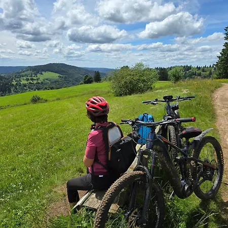 シャレー Sous Les Sapins, Calme, Superbe Vue Avec Piscine Et Sauna Gerbamont