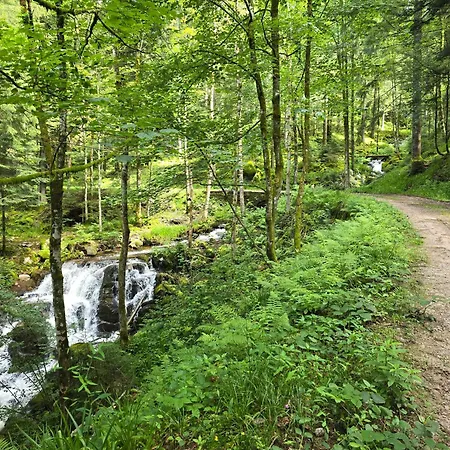 Sous Les Sapins, Calme, Superbe Vue Avec Piscine Et Sauna